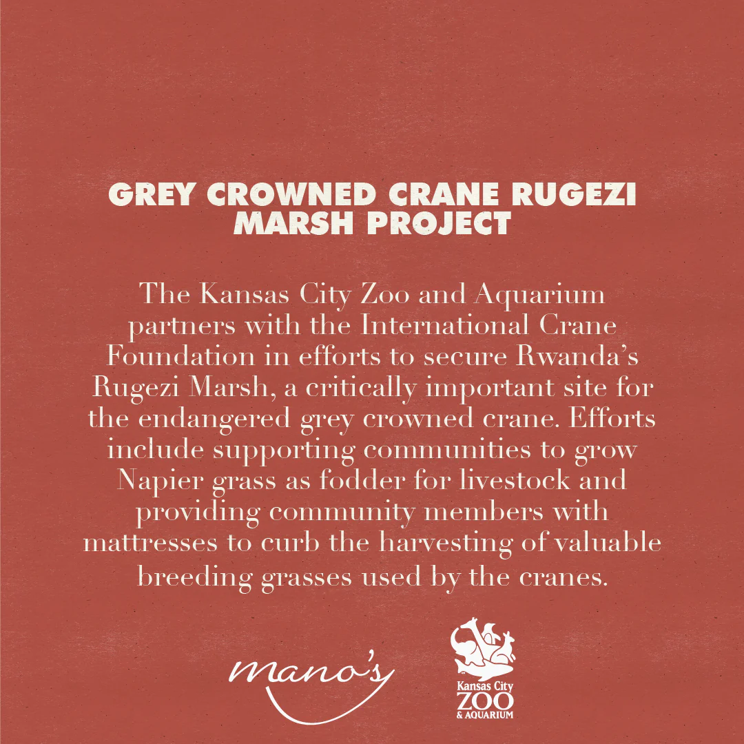 2024 Wine Walk Collectors Pack - Image 6