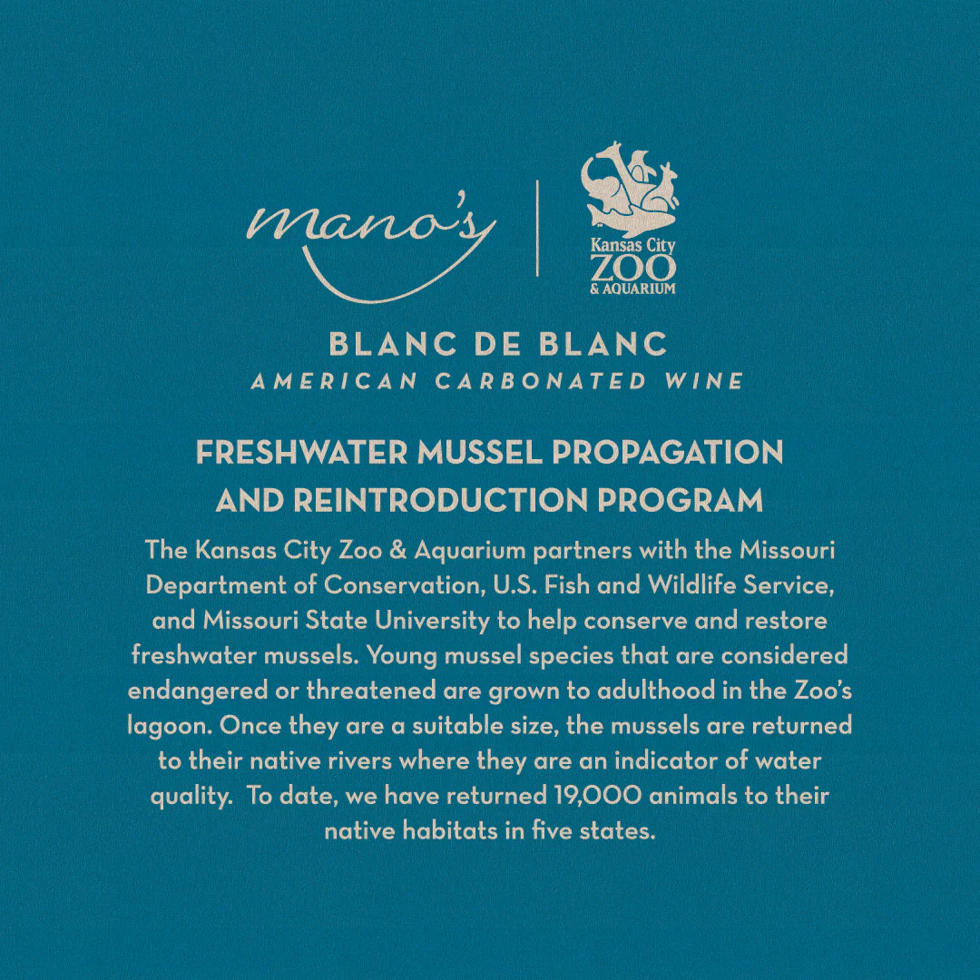 Freshwater Mussels Blanc de Blanc - Image 2