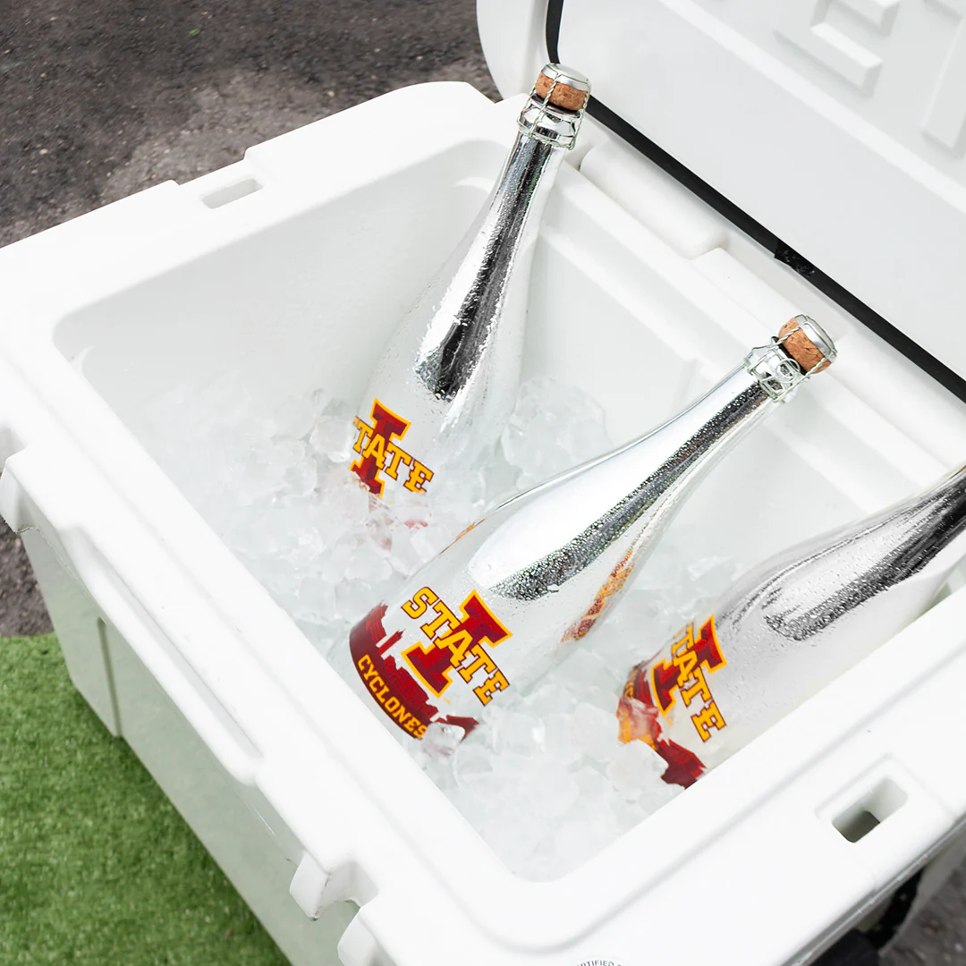 Iowa State University Skyline Metallic Silver Bubbly - Image 2