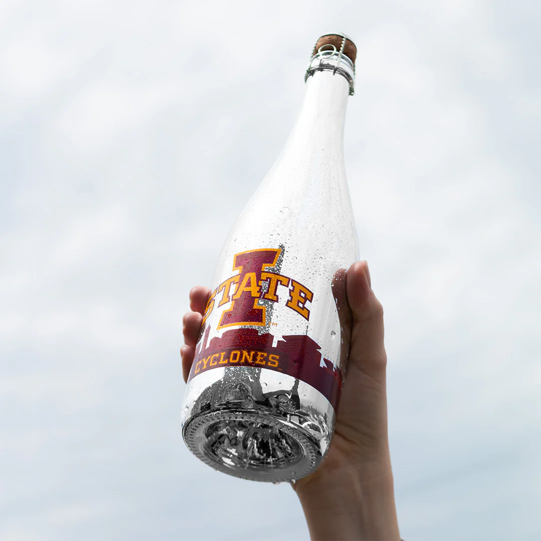 Iowa State University Skyline Metallic Silver Bubbly - Image 5