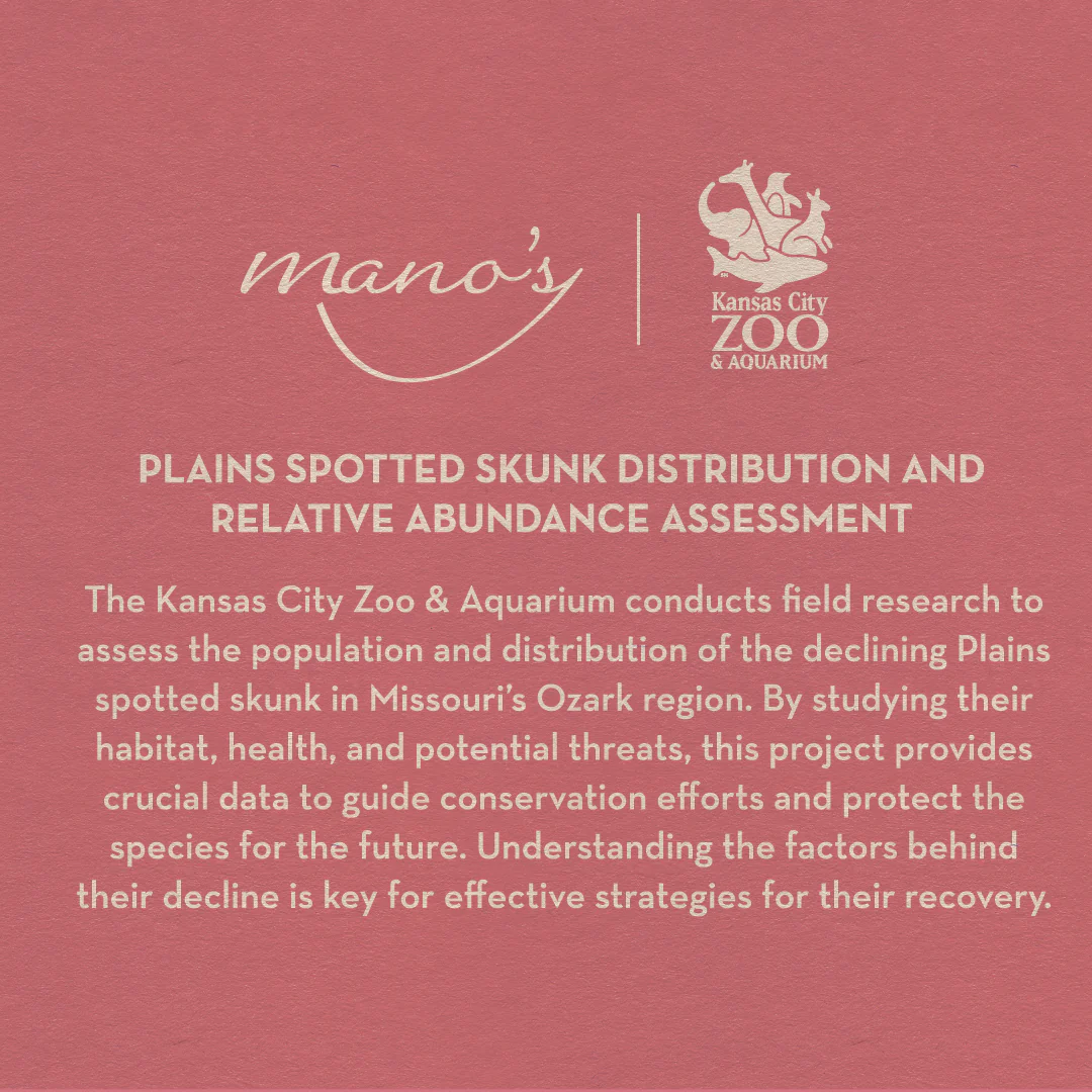Plains Skunk Sweet Rosé Wine - Image 2