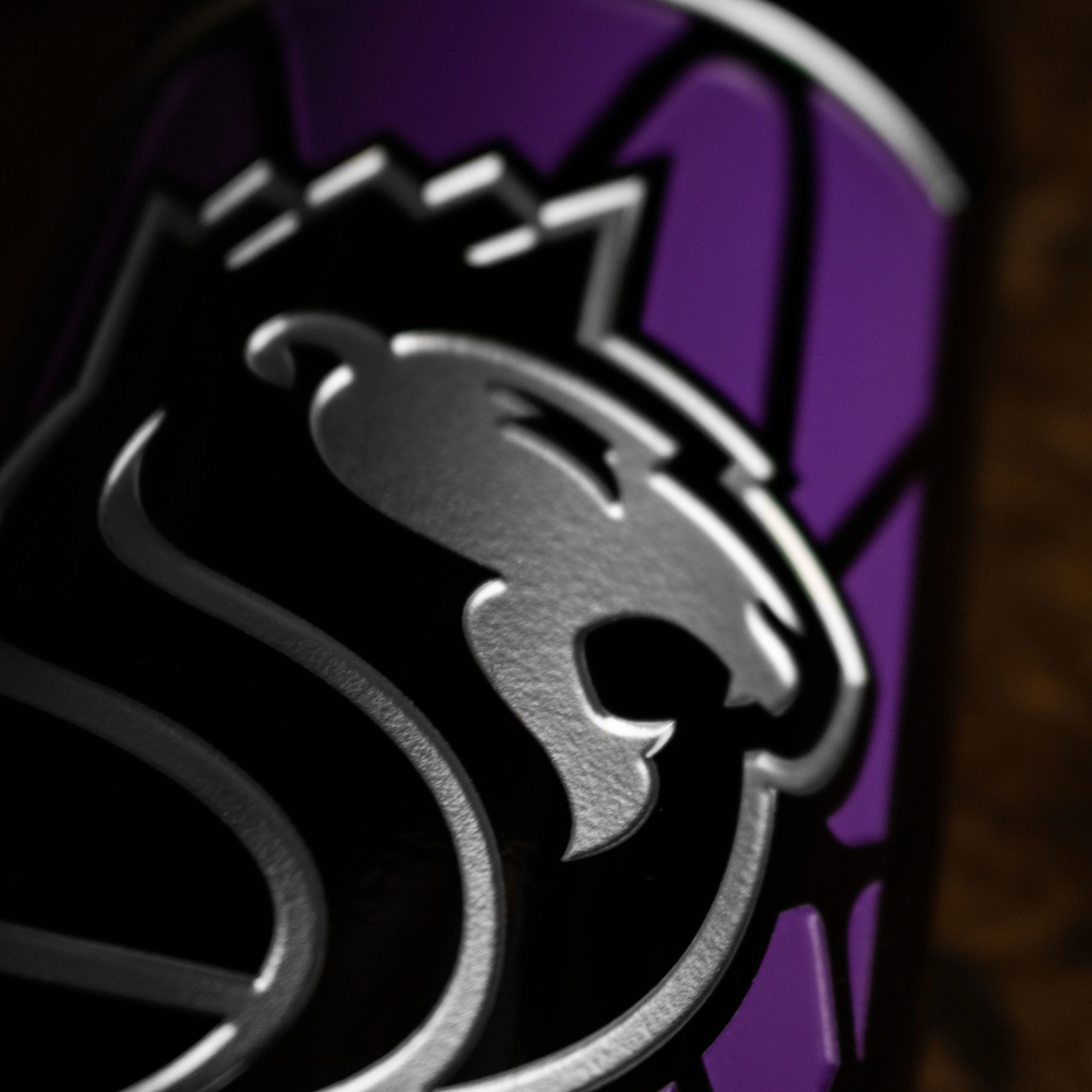 Sacramento Kings Net Display Bottle - Image 5