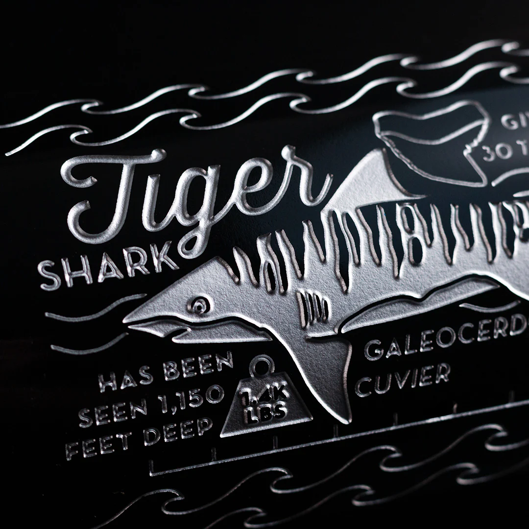 Shark Facts Collectors Pack - Image 14