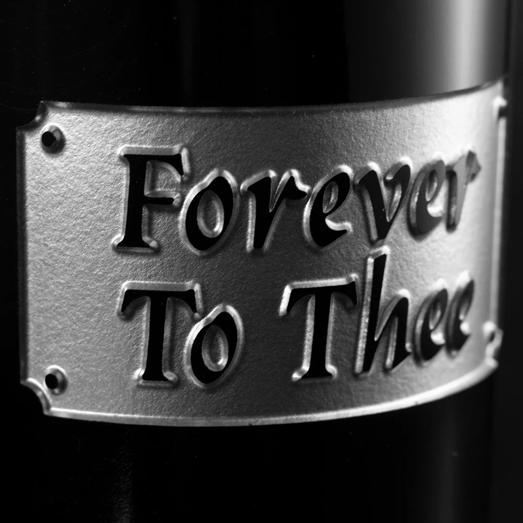 University of South Carolina Alumni Association Etched Wine - Image 2