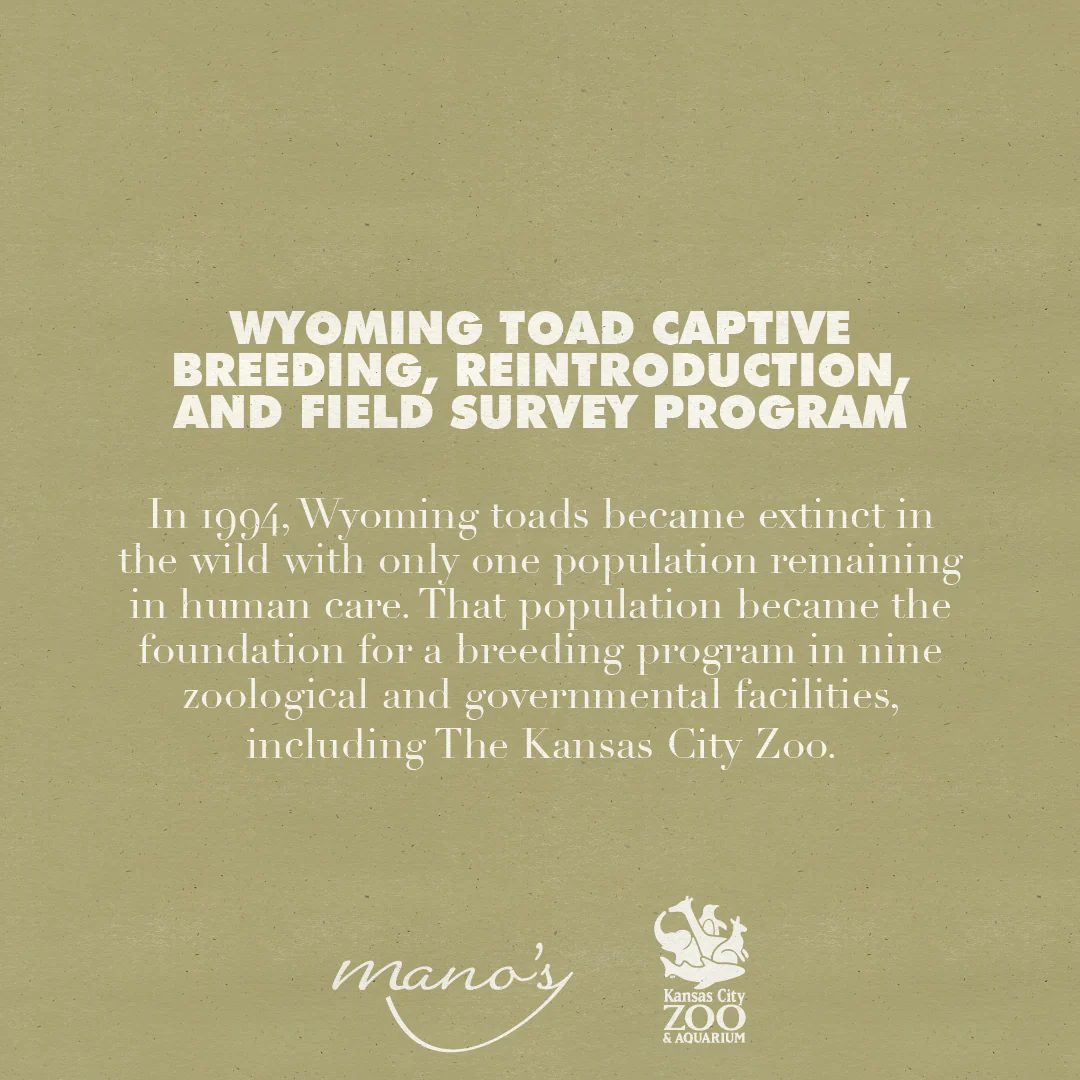 Wyoming Toad Blanc de Blanc - Image 2